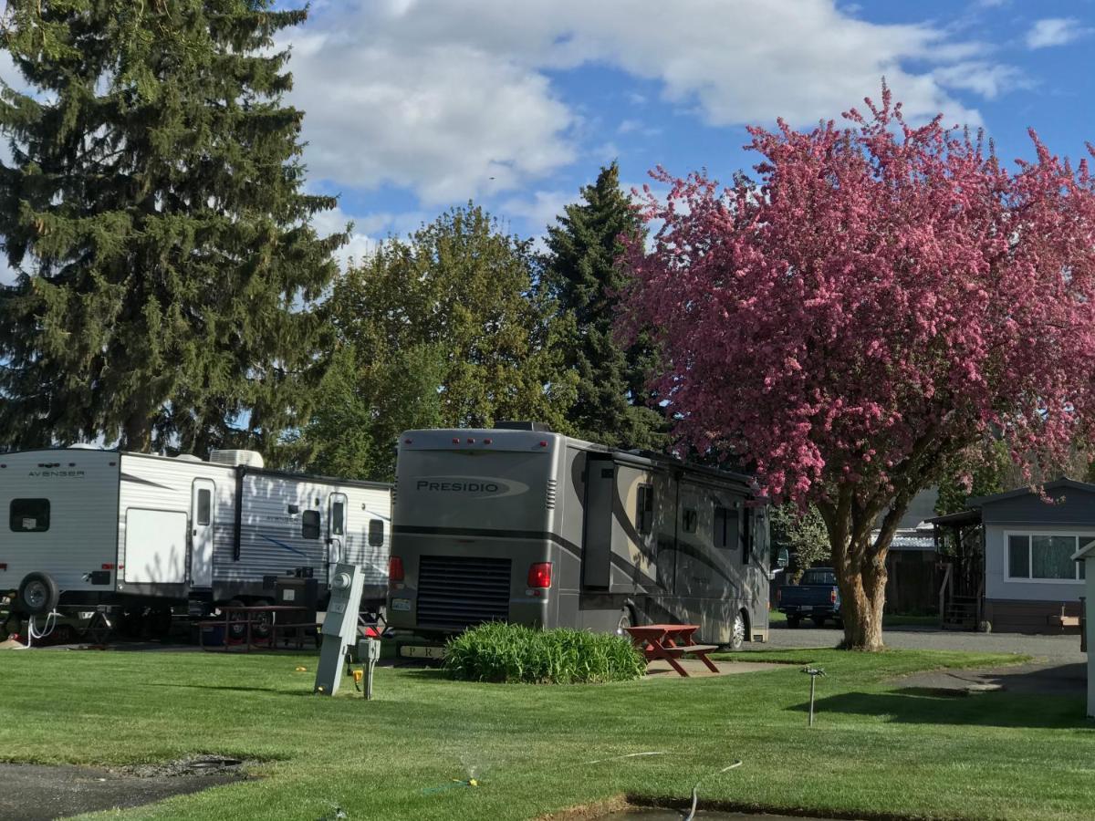 Goose Creek Rv Park & Campground Wilbur Exterior photo